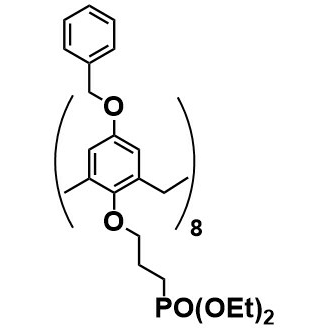 3-Phosphonylpropyloxy-benzyloxycalix[8]arene (flexible) – FC804
