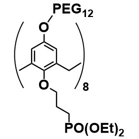 1-(3-Phosphonylpropyloxy)-4-(polyethyleneglycol12)-calix[8]arene – FC826