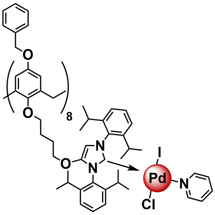 NOVECAT G2-01 (Supported Pd-NHC catalyst)